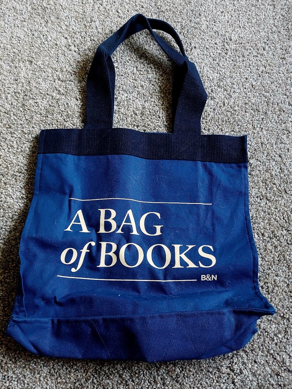 Navy 'A Bag of Books' Canvas Tote